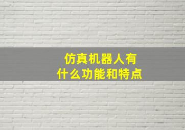 仿真机器人有什么功能和特点