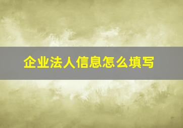 企业法人信息怎么填写