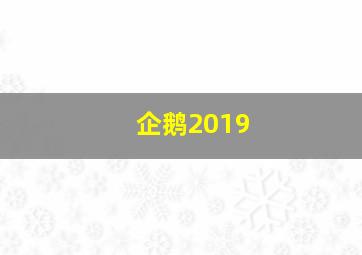 企鹅2019