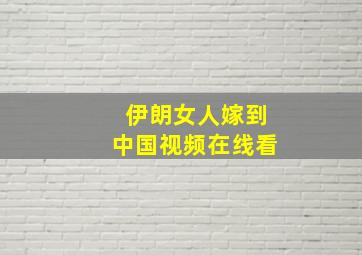 伊朗女人嫁到中国视频在线看