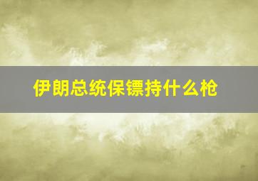 伊朗总统保镖持什么枪