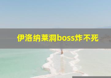 伊洛纳莱洞boss炸不死