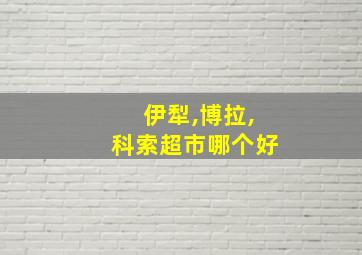 伊犁,博拉,科索超市哪个好