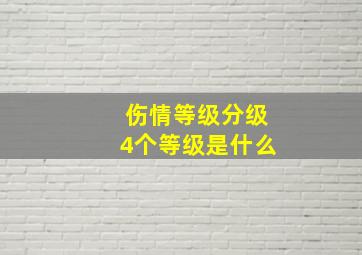 伤情等级分级4个等级是什么