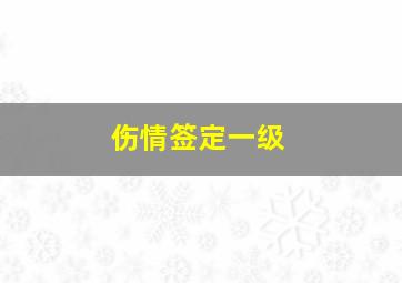 伤情签定一级