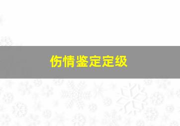 伤情鉴定定级