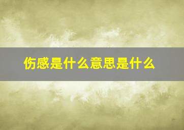 伤感是什么意思是什么