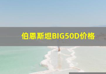 伯恩斯坦BIG50D价格