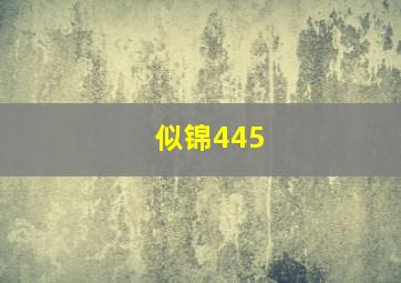 似锦445