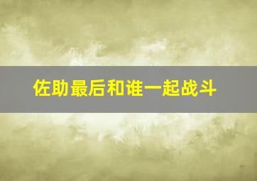 佐助最后和谁一起战斗