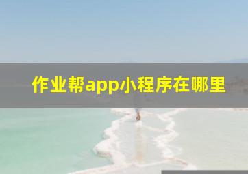 作业帮app小程序在哪里