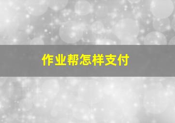 作业帮怎样支付