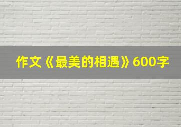 作文《最美的相遇》600字