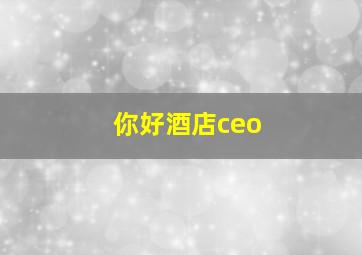 你好酒店ceo