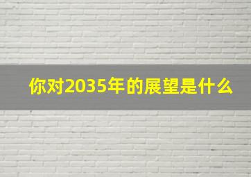 你对2035年的展望是什么