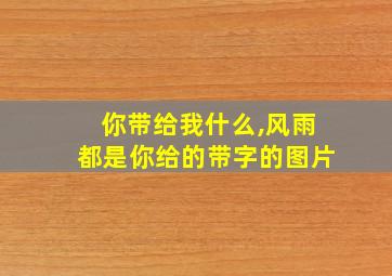 你带给我什么,风雨都是你给的带字的图片