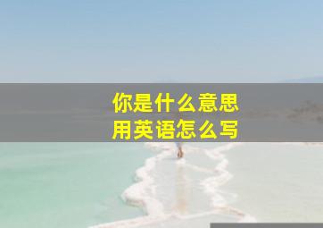 你是什么意思用英语怎么写