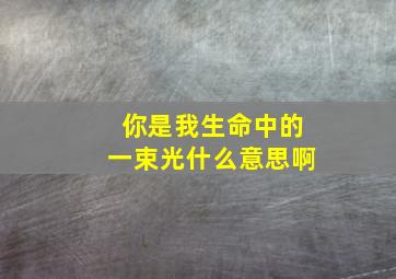 你是我生命中的一束光什么意思啊