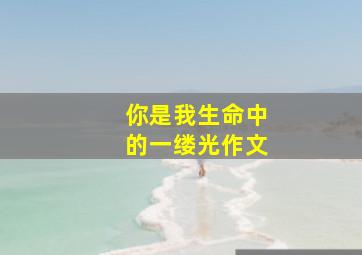 你是我生命中的一缕光作文