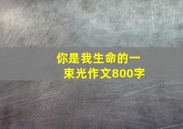 你是我生命的一束光作文800字