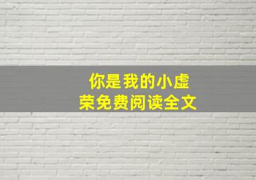 你是我的小虚荣免费阅读全文