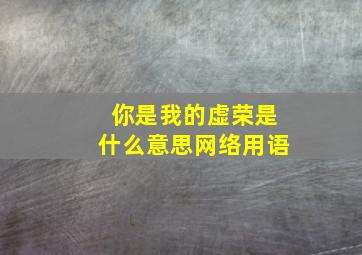 你是我的虚荣是什么意思网络用语