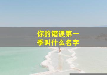 你的错误第一季叫什么名字