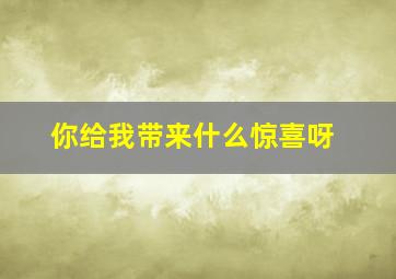 你给我带来什么惊喜呀