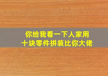 你给我看一下人家用十块零件拼装比你大佬