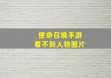 使命召唤手游看不到人物图片