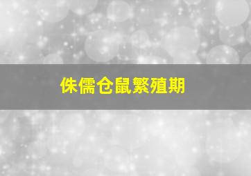 侏儒仓鼠繁殖期