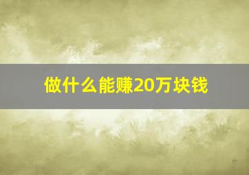 做什么能赚20万块钱