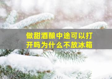 做甜酒酿中途可以打开吗为什么不放冰箱