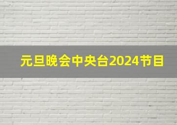 元旦晚会中央台2024节目