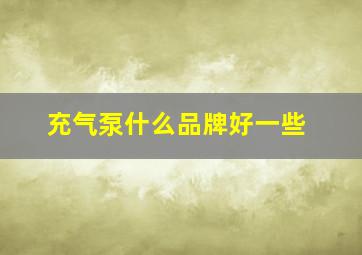 充气泵什么品牌好一些