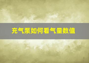 充气泵如何看气量数值