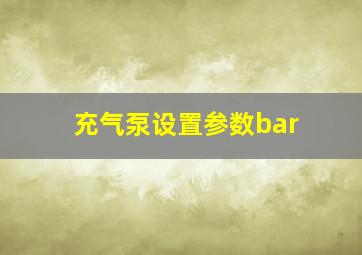 充气泵设置参数bar