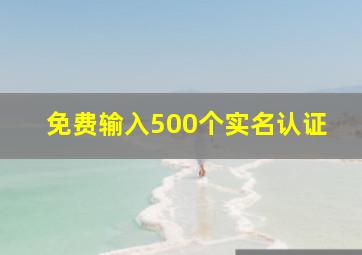 免费输入500个实名认证