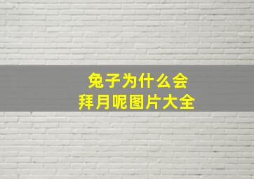 兔子为什么会拜月呢图片大全