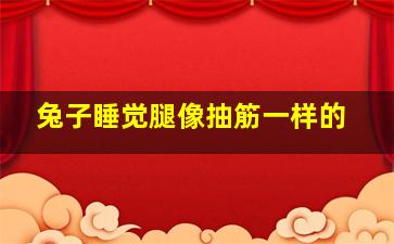 兔子睡觉腿像抽筋一样的