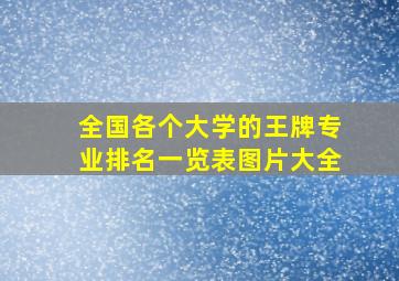 全国各个大学的王牌专业排名一览表图片大全