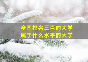 全国排名三百的大学属于什么水平的大学