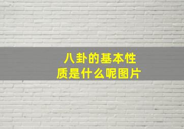 八卦的基本性质是什么呢图片