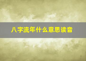 八字流年什么意思读音