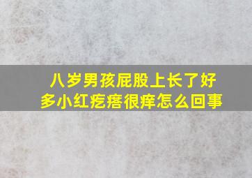 八岁男孩屁股上长了好多小红疙瘩很痒怎么回事