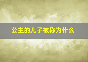 公主的儿子被称为什么