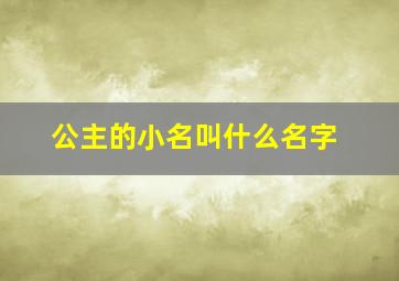 公主的小名叫什么名字