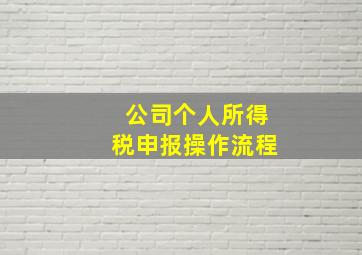 公司个人所得税申报操作流程