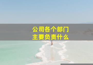 公司各个部门主要负责什么