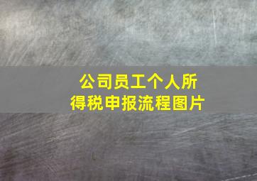 公司员工个人所得税申报流程图片